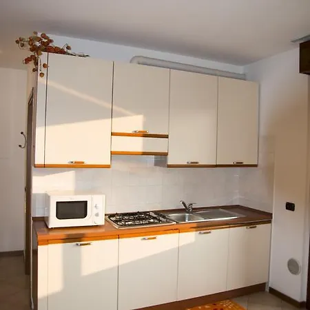 Testa 43 *